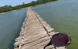 Cô gái lái xe máy qua cây cầu gỗ "dài nhất Việt Nam", tất cả nín thở theo dõi
