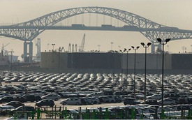 Gần 180 ôtô, 15 môtô tồn đọng tại cảng 
