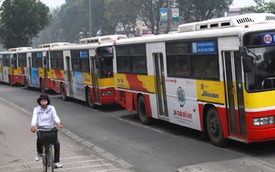 Hà Nội: Sẽ đảm bảo đủ xe buýt phục vụ dịp Tết