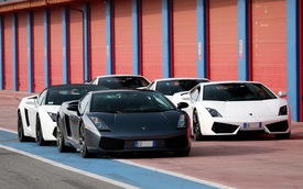 Lamborghini tổ chức offline đầu năm
