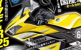 Hàng "hot" Yamaha YZF-R25 tiếp tục lộ mặt