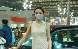 Cúm gia cầm H7N9 đe dọa triển lãm Thượng Hải 2013