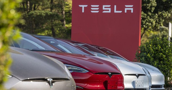 Elon Musk thúc giục tinh chế một thứ cho xe điện: 'Đó là giấy phép in tiền'