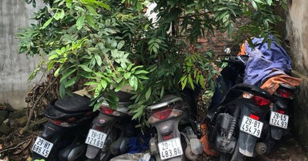 Xe SH xếp đống góc vườn, bụi chuối phát hiện khi nhóm chuyên 'nhảy' SH ở Hà Nội sa lưới - Vimarsana News