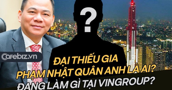 What is the great young master Pham Nhat Quan Anh of billionaire Pham Nhat Vuong doing at Vingroup?