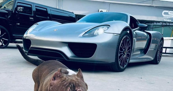 The second Porsche 918 Spyder in Vietnam ever shared a showroom, identifying features with the McLaren Senna and Koenigsegg Regera duo of giants Hoang Kim Khanh