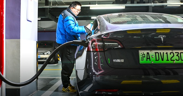 How Tesla conquered the city of Shanghai with just one license plate