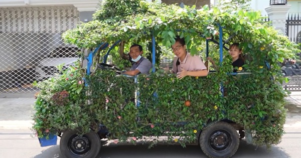 Tay Ninh’s uncle spent more than 10 years making “tree cars”, was paid 500 million but decided not to sell