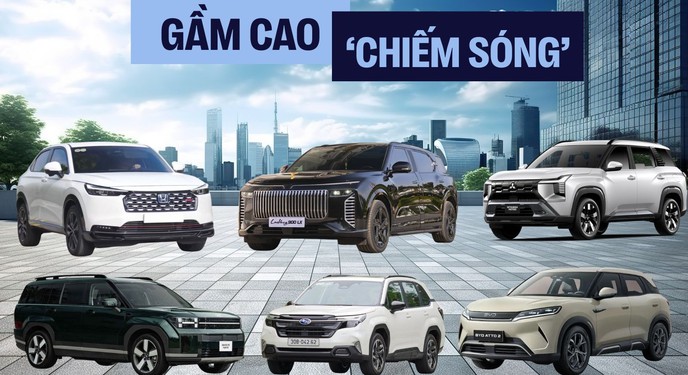 45 xe gầm cao ra mắt Việt Nam 2025: Gần nửa vẫn chạy xăng, dầu nhưng xe điện, hybrid có nhiều cái tên hot