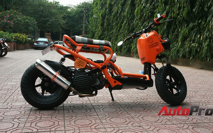 Xe Honda Zoomer 50cc  nữ xài còn mới ở TPHCM giá 19tr MSP 1005604